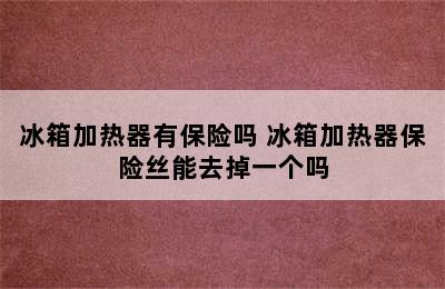 冰箱加热器有保险吗 冰箱加热器保险丝能去掉一个吗